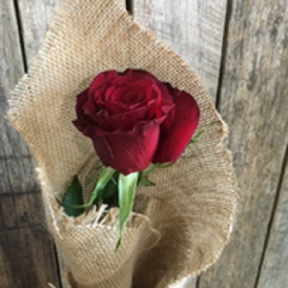 single rose - wrapped.jpg